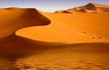 Donald Trump a exhorté l’Espagne à «construire un mur» à travers le Sahara